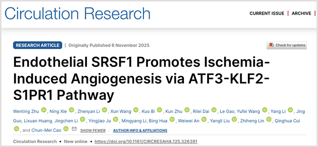 20251217-1.png 20251217-1.png