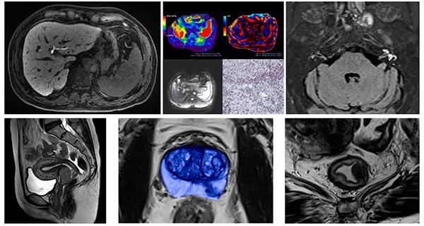 图片9.jpg 图片9.jpg