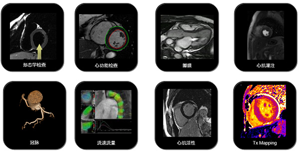 图片10.jpg 图片10.jpg