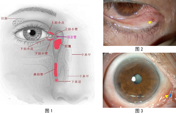 20260226 拷贝.jpg 20260226 拷贝.jpg
