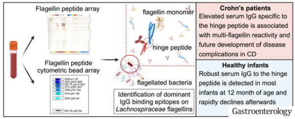 微信图片_2026-03-30_190012_603.jpg 微信图片_2026-03-30_190012_603.jpg