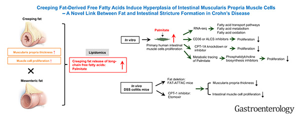 微信图片_2026-03-30_190151_129.jpg 微信图片_2026-03-30_190151_129.jpg