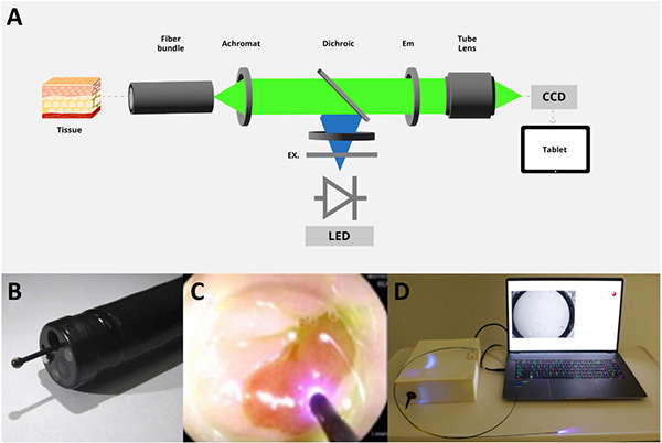 微信图片_2026-03-30_190210_578.jpg 微信图片_2026-03-30_190210_578.jpg