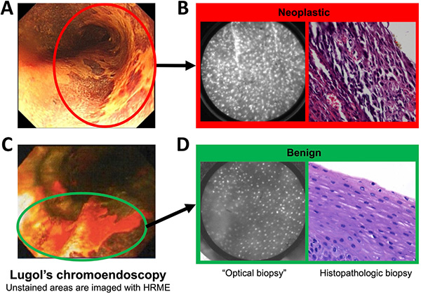 微信图片_2026-03-30_190213_883.jpg 微信图片_2026-03-30_190213_883.jpg