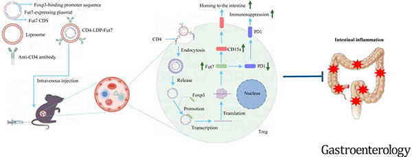 微信图片_2026-04-01_133934_487.jpg 微信图片_2026-04-01_133934_487.jpg