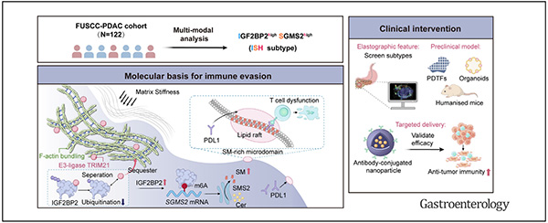 微信图片_2026-04-01_134130_324.jpg 微信图片_2026-04-01_134130_324.jpg